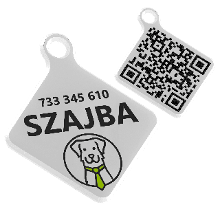 Adresówka dla psa z kodem QR i wizytówką online | Fluo Dog